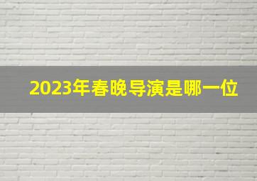 2023年春晚导演是哪一位