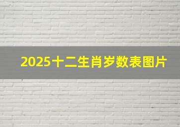 2025十二生肖岁数表图片