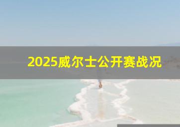 2025威尔士公开赛战况