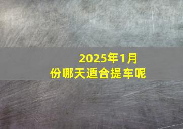 2025年1月份哪天适合提车呢