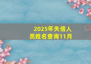 2025年失信人员姓名查询11月