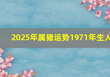 2025年属猪运势1971年生人