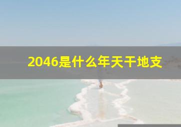 2046是什么年天干地支