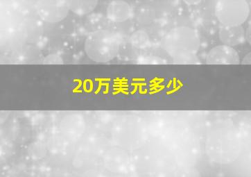 20万美元多少