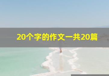 20个字的作文一共20篇