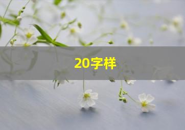 20字样