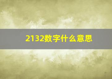 2132数字什么意思