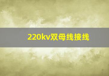 220kv双母线接线