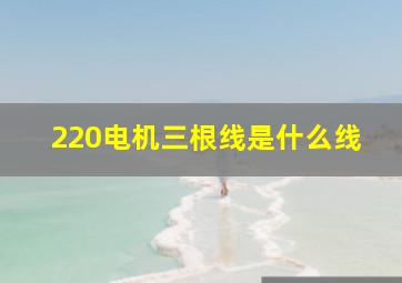 220电机三根线是什么线