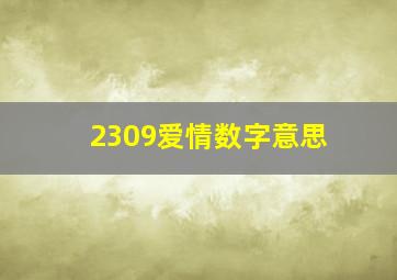 2309爱情数字意思