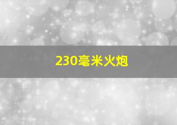 230毫米火炮