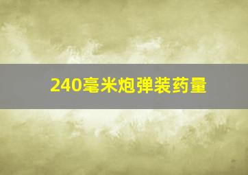 240毫米炮弹装药量