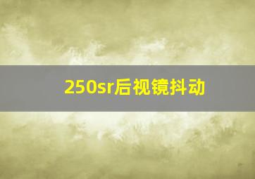 250sr后视镜抖动