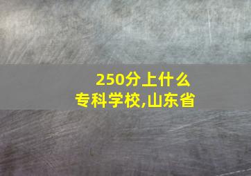 250分上什么专科学校,山东省