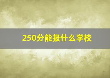 250分能报什么学校