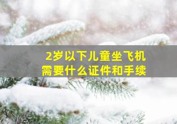 2岁以下儿童坐飞机需要什么证件和手续