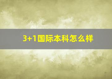 3+1国际本科怎么样