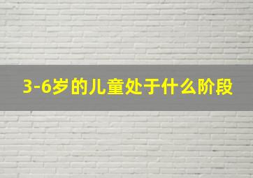 3-6岁的儿童处于什么阶段