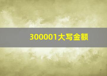 300001大写金额