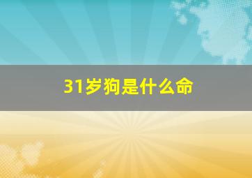 31岁狗是什么命