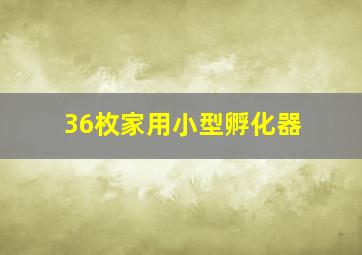 36枚家用小型孵化器