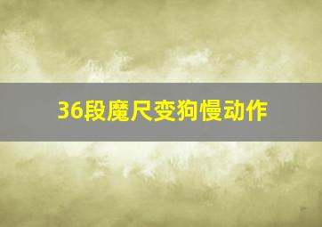 36段魔尺变狗慢动作