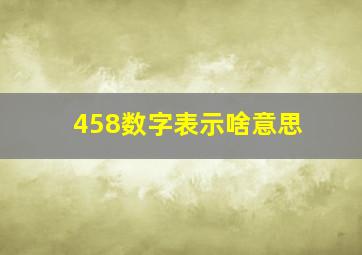 458数字表示啥意思