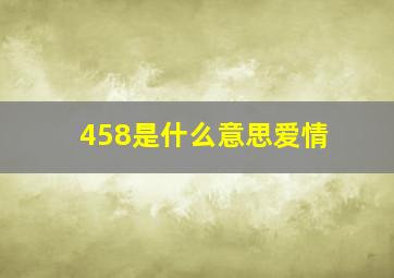 458是什么意思爱情