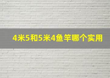 4米5和5米4鱼竿哪个实用