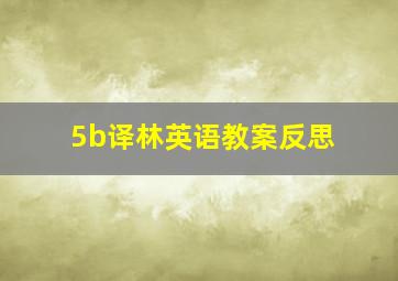 5b译林英语教案反思