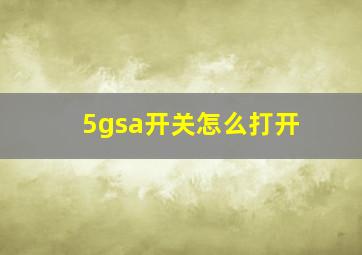 5gsa开关怎么打开