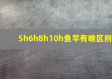 5h6h8h10h鱼竿有啥区别