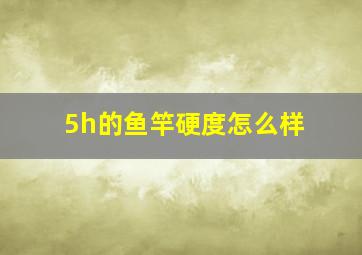 5h的鱼竿硬度怎么样