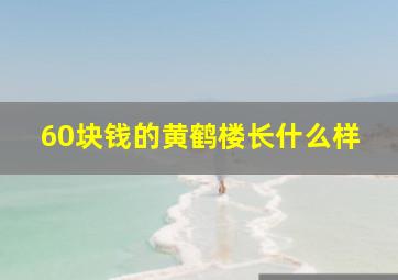 60块钱的黄鹤楼长什么样