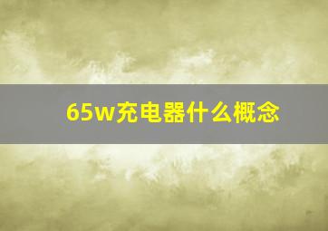 65w充电器什么概念