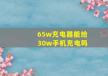 65w充电器能给30w手机充电吗