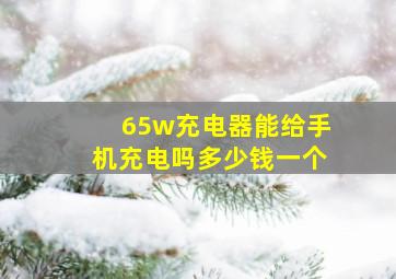 65w充电器能给手机充电吗多少钱一个