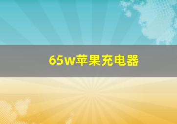 65w苹果充电器