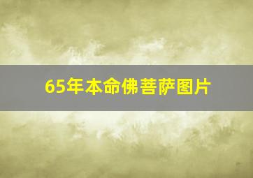 65年本命佛菩萨图片