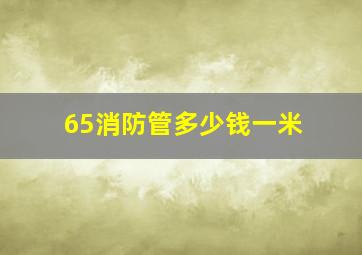 65消防管多少钱一米