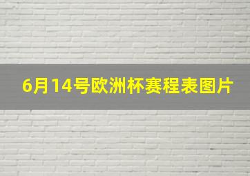 6月14号欧洲杯赛程表图片