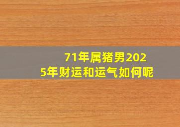 71年属猪男2025年财运和运气如何呢