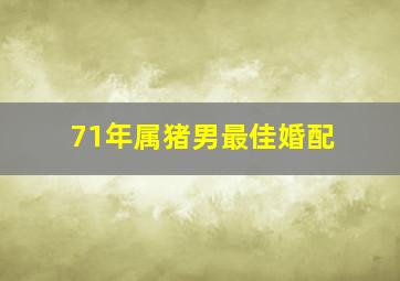 71年属猪男最佳婚配