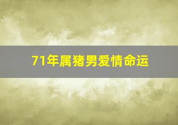 71年属猪男爱情命运