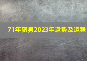 71年猪男2023年运势及运程