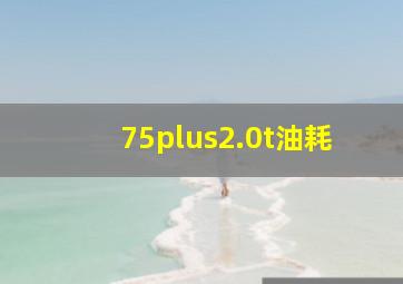 75plus2.0t油耗