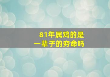 81年属鸡的是一辈子的穷命吗