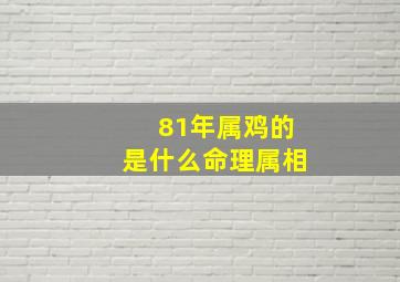 81年属鸡的是什么命理属相