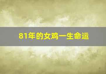 81年的女鸡一生命运