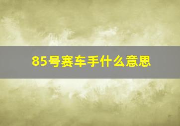 85号赛车手什么意思